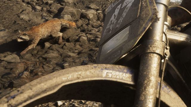A raccoon on the trail, Mount Kalaga. Official GTA 6 screenshot, Rockstar Games