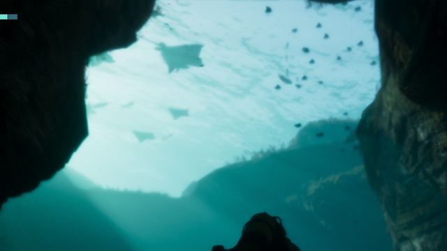 A ray and a school of fish, scuba diving. Still from official footage, Rockstar Games