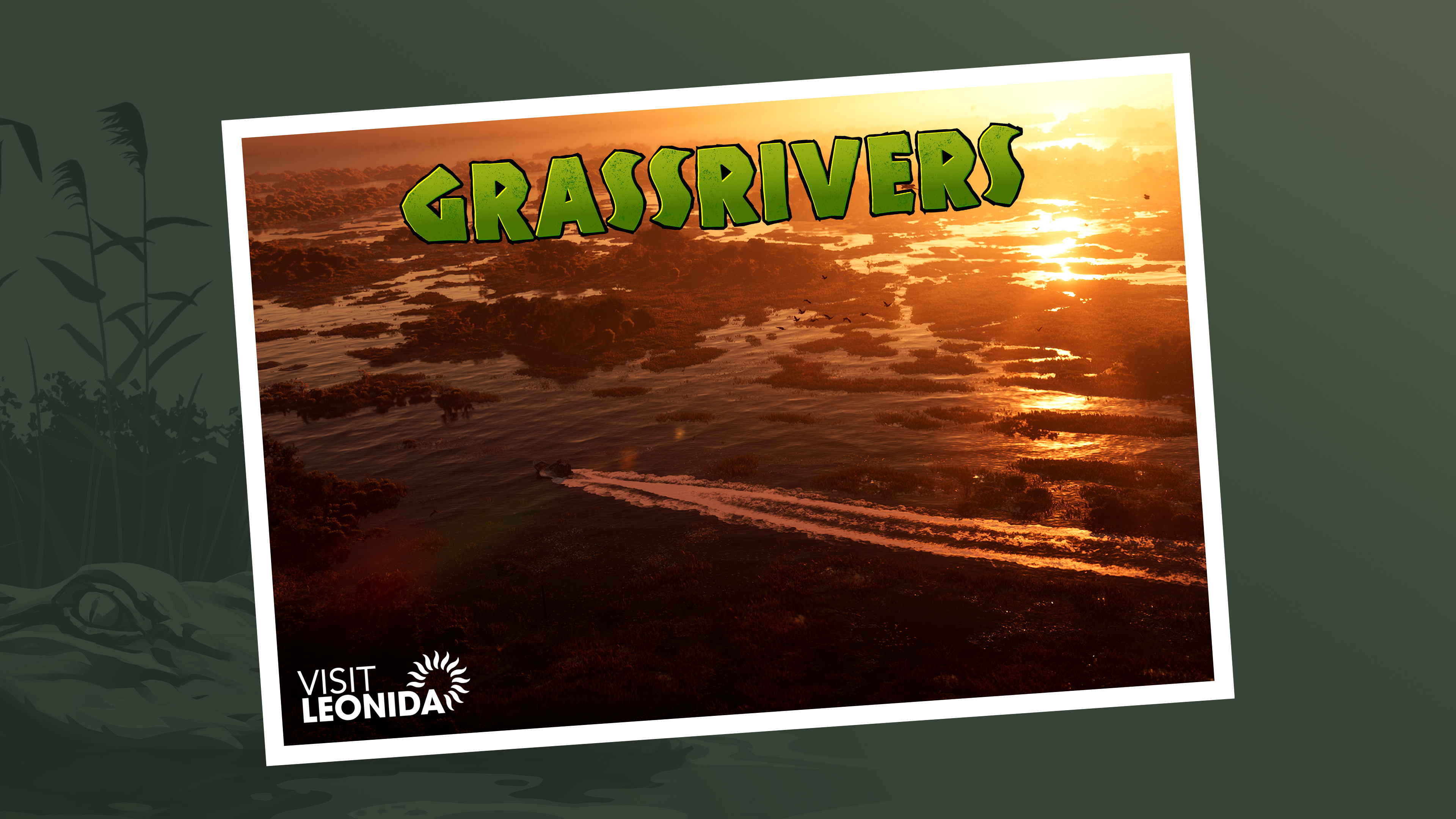 Grassrivers official postcard artwork