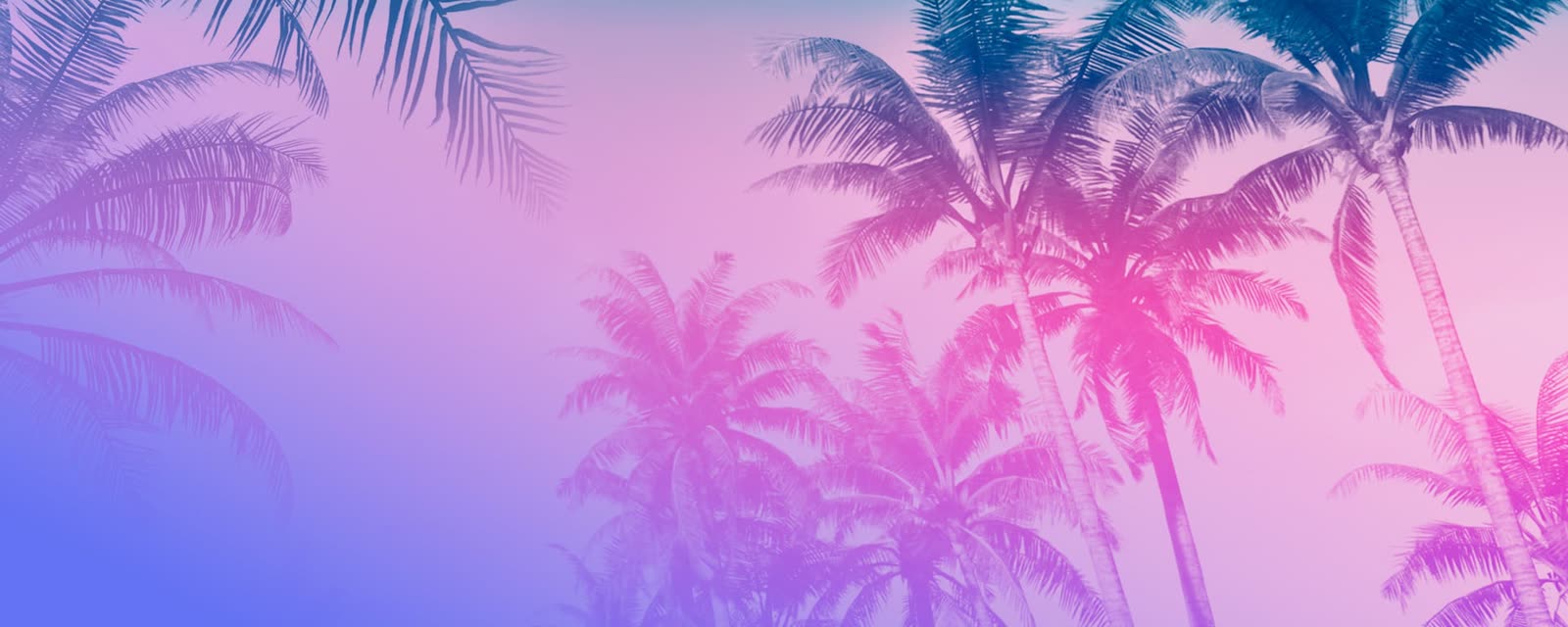 Cocoteo FM station art from Rockstar's GTA 6 music page